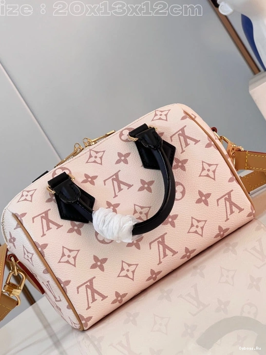 BANDOULIÈRE LOUIS VUITTON SPEEDY 20 0228